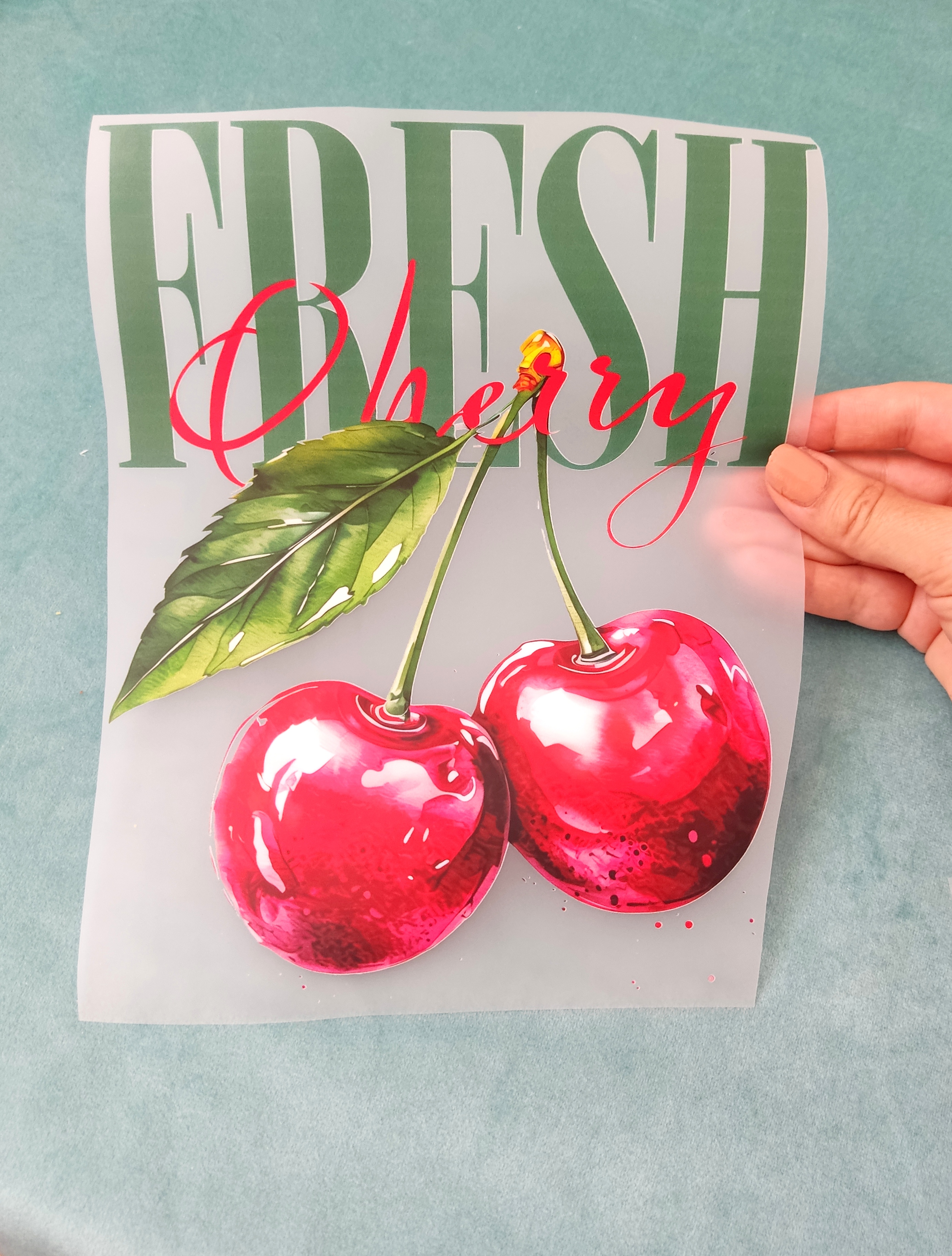 استیکر پارچه و لباس گیلاس FRESH